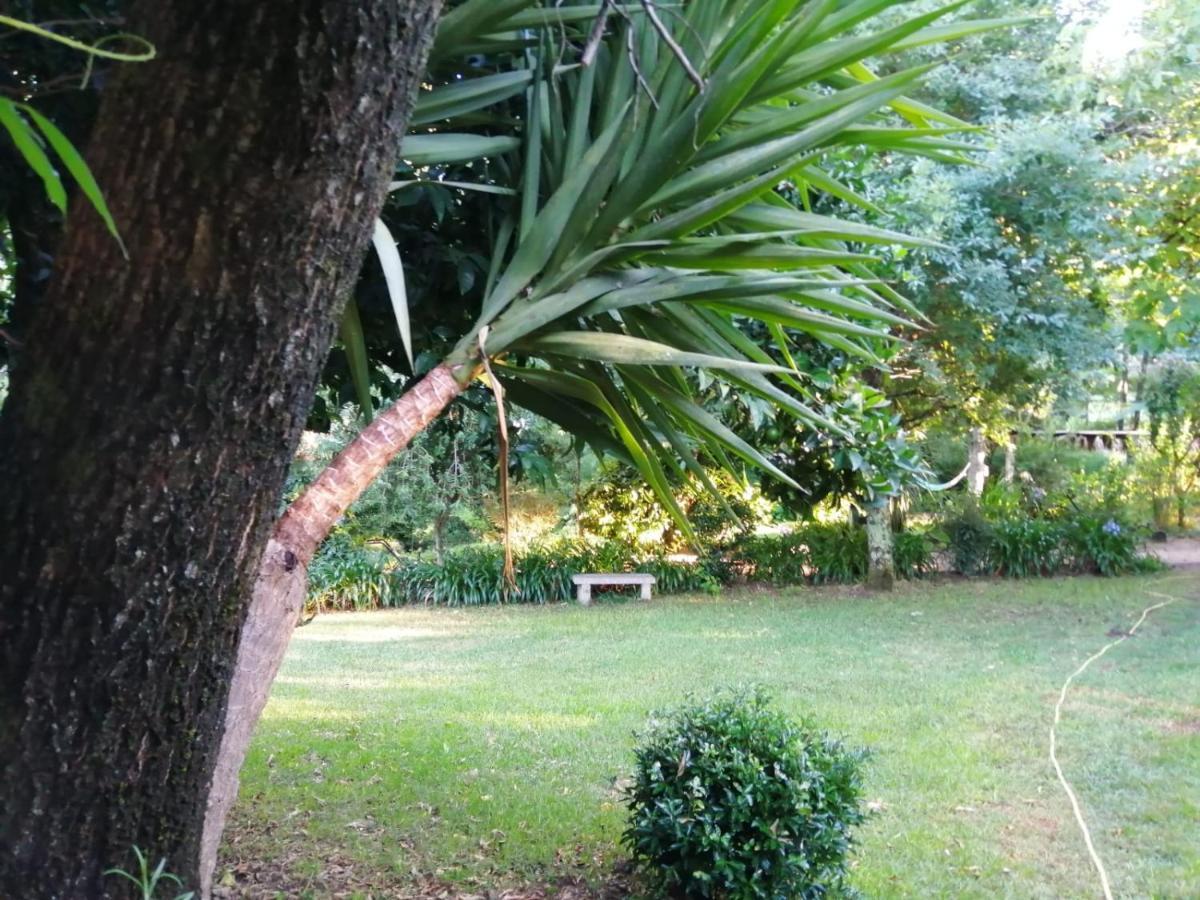 Villa Casina Os Lueiro à Portas Extérieur photo